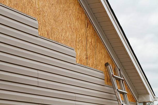 Professional Siding Repair technician working in Honey Grove, TX